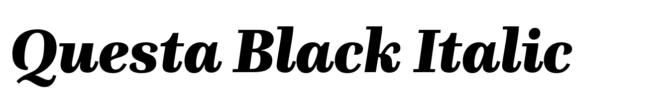 Questa Black Italic